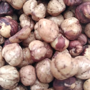 Avellana Europea Tostada